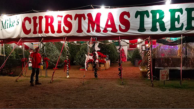 Mike&#146;s Christmas Trees 
    Now through Christmas Season
    11349 Bloomingdale Ave., Riverview
    Celebrating their 15th year in the Tampa Bay area, Mike&#146;s Christmas Trees offers up all kinds of trees and Christmas ornamentations for you and your family. Each tree is shaken, trimmed, baled, and eventually loaded onto your truck or car to take home.
    Photo via Mike&#146;s Christmas Trees/Facebook