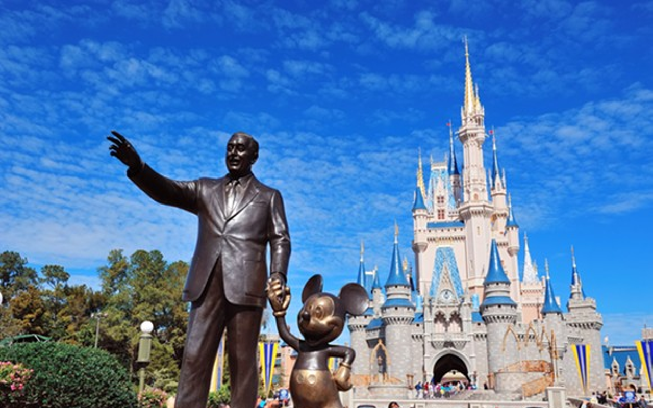 Woman sues Disney World after a diving bird collided with her head